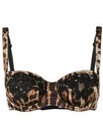 Dolce & Gabbana soutien-gorge à motif léopard - Marron - thumbnail