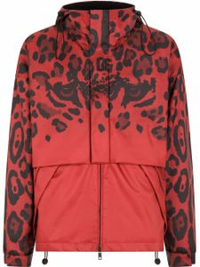 Dolce & Gabbana veste imprimée à capuche - Rouge