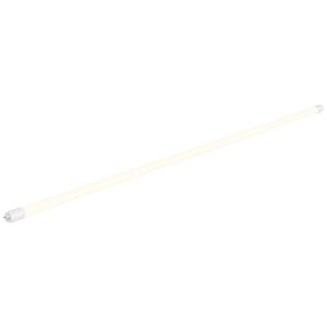 SLV LED-buis- Energielabel: E (A - G) G13 T8 24 W Neutraalwit 1 stuk(s) (Ø x l) 28 mm x 1510 mm