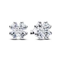 Oorbellen Dames Pandora 294500C01 Zilverkleurig