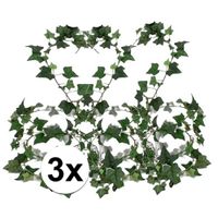 3x Klimop slinger Hedera Helix 180 cm