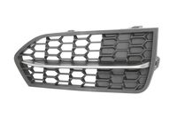 Ventilatiegrille, bumper 6502070069921P