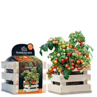 Baza Garden box bio koralik