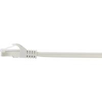 Renkforce RF-4724280 RJ45 Netwerkkabel, patchkabel CAT 5e F/UTP 10.00 m Grijs Snagless 1 stuk(s) - thumbnail