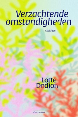 Verzachtende omstandigheden (Paperback)
