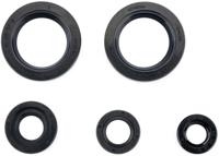 ATHENA motor-keerring set motorshield ktm