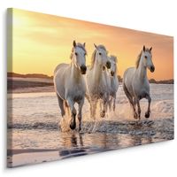 Schilderij - Galopperende paarden op het strand, multi-gekleurd, 4 maten, wanddecoratie