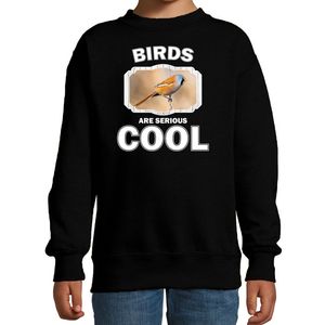 Sweater birds are serious cool zwart kinderen - vogels/ baardmannetje vogel trui