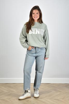 Agolde jeans 90s Crop A173-1206 nerve