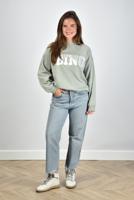 Agolde jeans 90s Crop A173-1206 nerve