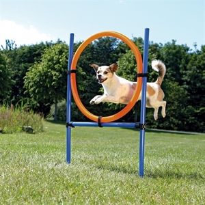 Trixie Trixie dog activity agility ring blauw / oranje