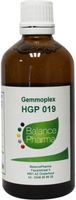 HGP019 Gemmoplex cholesterol