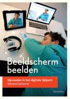 Beeldschermbeelden (Paperback)