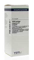 VSM Solidago virgaurea D1 50 Milliliter