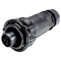 Wieland Electric 97.041.4053.1 Steekverbinder