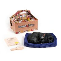 Perfect Petzzz soft black lab