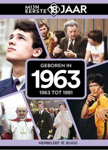 Geboren in 1963 (Hardback)