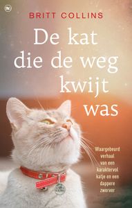 De kat die de weg kwijt was - Britt Collins - ebook