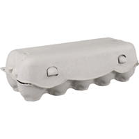 Eierdoos | 10stuks | 246x107x69mm | papierpulp | wit | 65 stuks