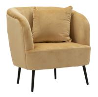 FAUTEUIL BROWY MET KUSSENS CM 73X66X78