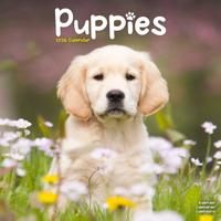 Puppies Kalender 2026