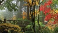 Brug 130x70cm Tuinschilderij - Customize it