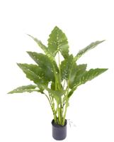 Allocasia groen 80 cm kunstplant Oosterik Home - Oosterik home