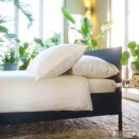 Kayori dekbedovertrek Daiki Tencel