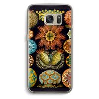 Haeckel Ascidiae: Samsung Galaxy S7 Transparant Hoesje