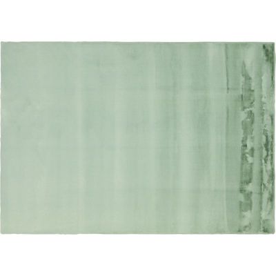 Vloerkleed Perry mintgroen 200x290
