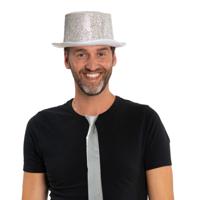 Carnaval verkleedset hoed en stropdas - zilver - volwassenen/unisex - feestkleding accessoires