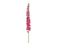 Eremurus l105 cm dk roze zijde nepbloem - Louis maes