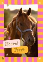 Wenskaart hallmark uitnodiging paarden 6 stuks