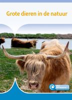 Grote dieren in de natuur - Susan Schaeffer - Hardcover (9789086647224) - thumbnail