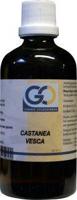 GO Castanea vesca bio