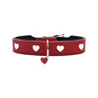 Hunter Collar Love - 60/M-L