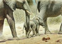 Kunstdruk Renato Casaro - Go Baby Go 100x70cm Kunstdruk Renato Casaro - Go Baby Go 100x70cm