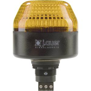 Auer Signalgeräte Signaallamp LED ICL 802521405 Oranje Oranje Flitslicht 24 V/DC, 24 V/AC