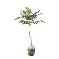 Kunst Jacaranda plant in pot