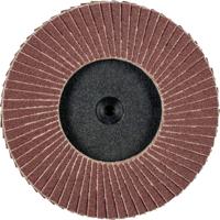 PFERD TOOLS 47202532 CDR PFF 75 A 120 Lamellenschijf Diameter 75 mm Brons, Titanium, Titaniumlegering, Koper, Messing, RVS, Grijs/grauw sferoïdisch gietijzer,