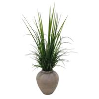 Decoratieve plant Home ESPRIT Polyethyleen
