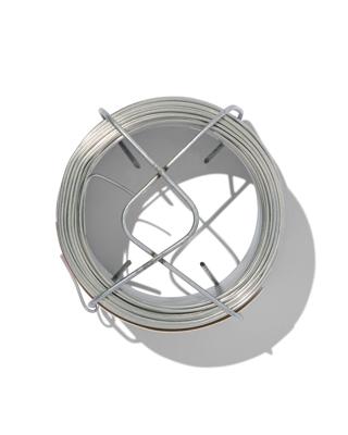 HEMA Ijzerdraad 50 meter