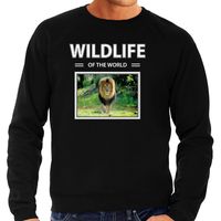 Leeuw sweater / trui met dieren foto wildlife of the world zwart voor heren