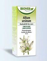 Allium ursinum tinctuur bio