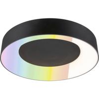 Paulmann 75416 Plafondlamp 20 W Zwart (mat) Paulmann 75416 Plafondlamp 20 W Zwart (mat)