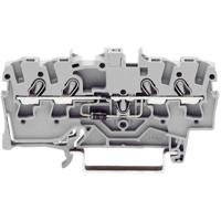 WAGO 2002-1411/1000-410 Diodeklem 5.20 mm Spanveer Toewijzing: L Grijs 1 stuk(s)
