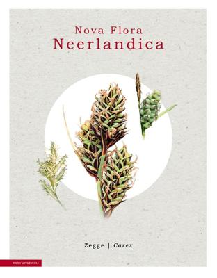Zegge - Carex (Hardback)