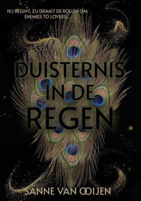 Duisternis in de regen (Paperback)