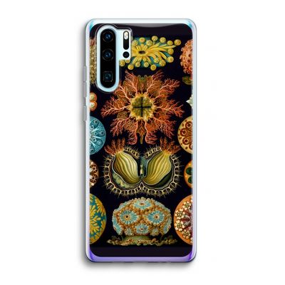 Haeckel Ascidiae: Huawei P30 Pro Transparant Hoesje