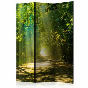 Vouwscherm - Pad door het bos 135x172cm  , gemonteerd geleverd (kamerscherm) dubbelzijdig geprint